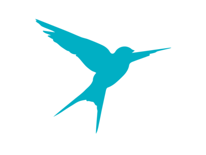 Birds Fly South